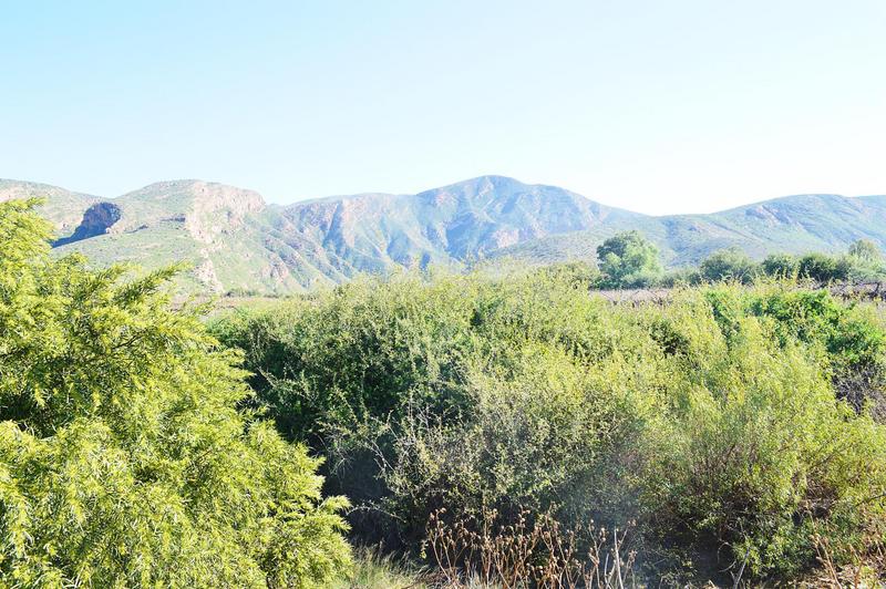 3 Bedroom Property for Sale in Calitzdorp Western Cape